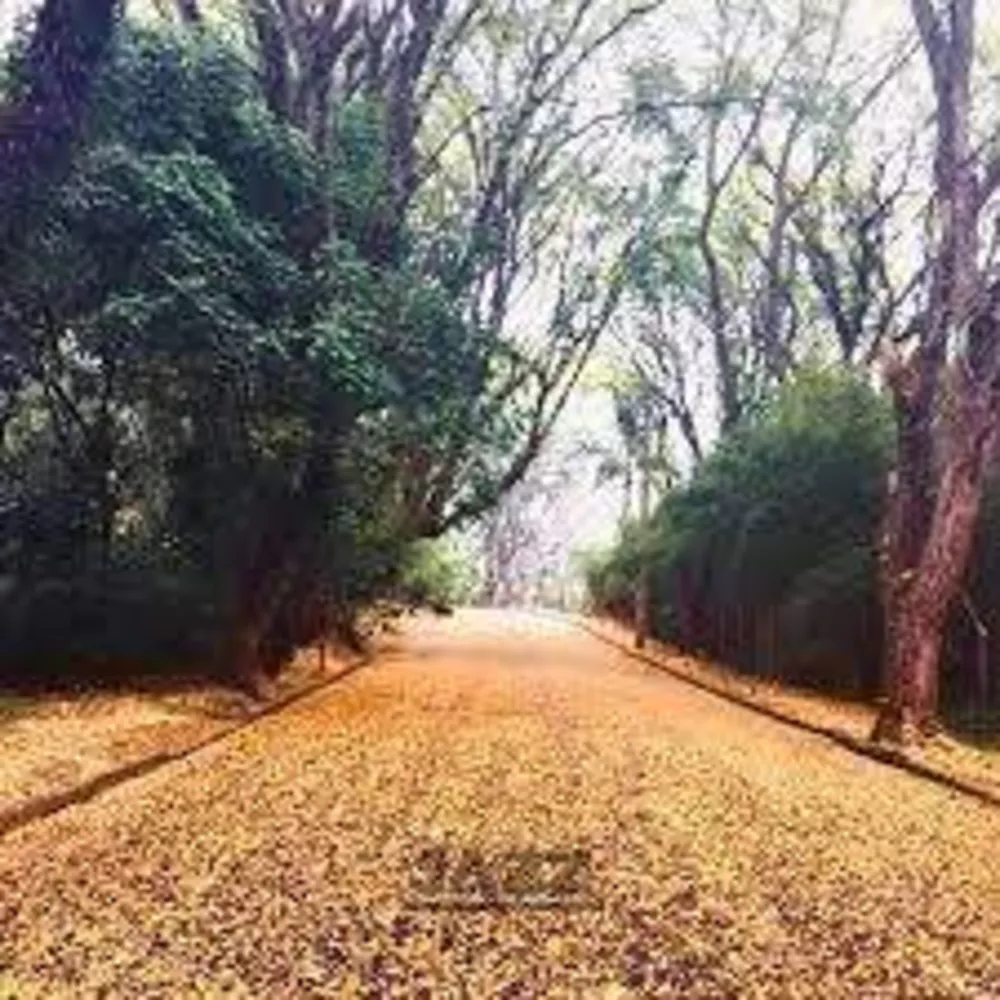 Terreno, 1870 m² - Foto 5