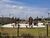 Terreno, 300 m² - Foto 8