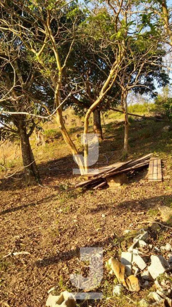 Terreno, 1 hectares - Foto 9
