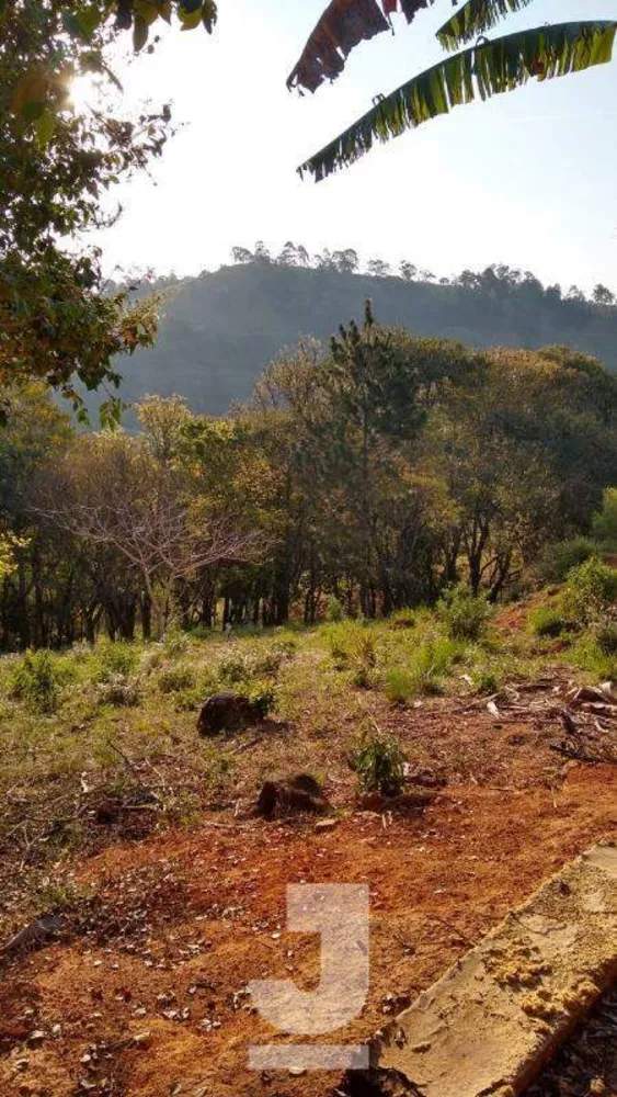 Terreno, 1 hectares - Foto 6