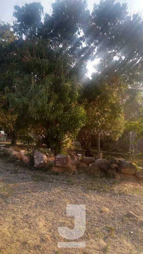 Terreno, 1 hectares - Foto 8