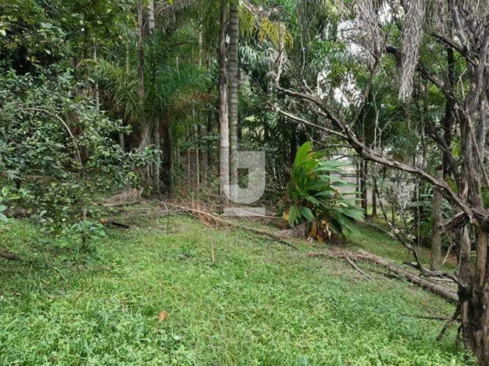 Terreno, 6600 m² - Foto 4