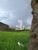 Terreno, 666 m² - Foto 3