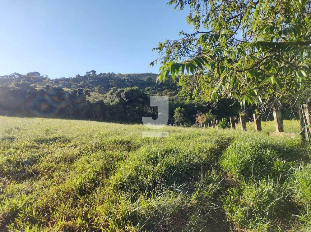 Sítio, 8 quartos, 7 hectares - Foto 4