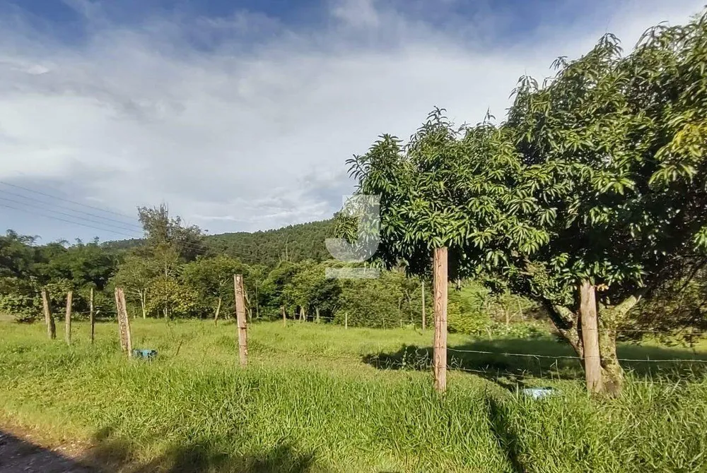 Sítio, 8 quartos, 7 hectares - Foto 1