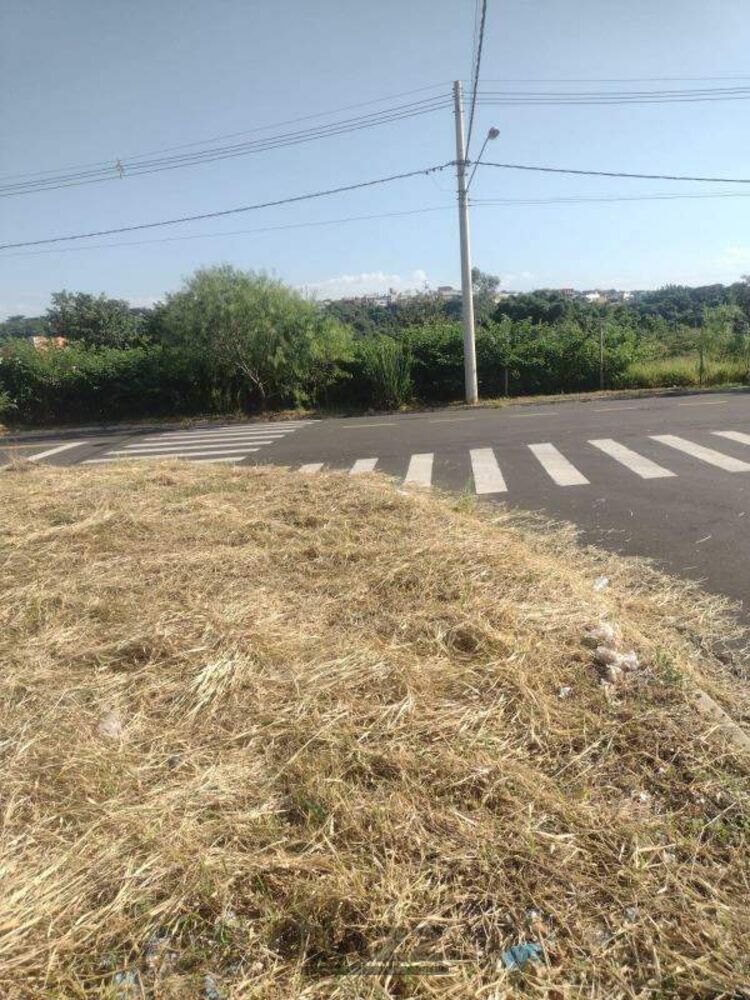 Terreno, 245 m² - Foto 5