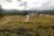 Terreno - Foto 4