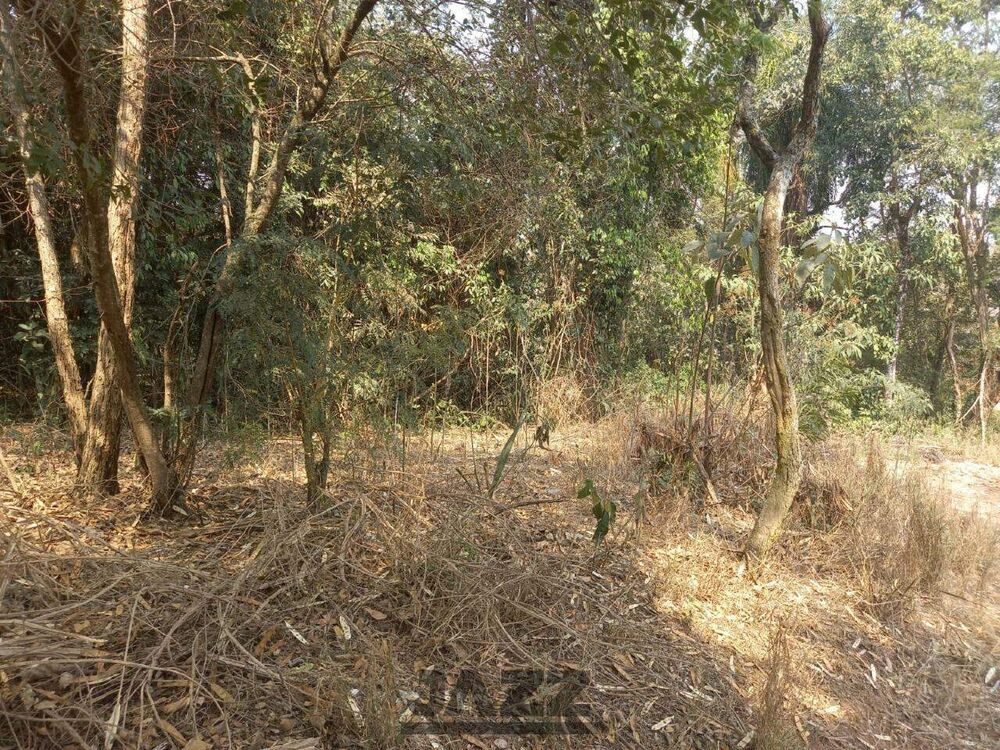 Terreno, 402 m² - Foto 4