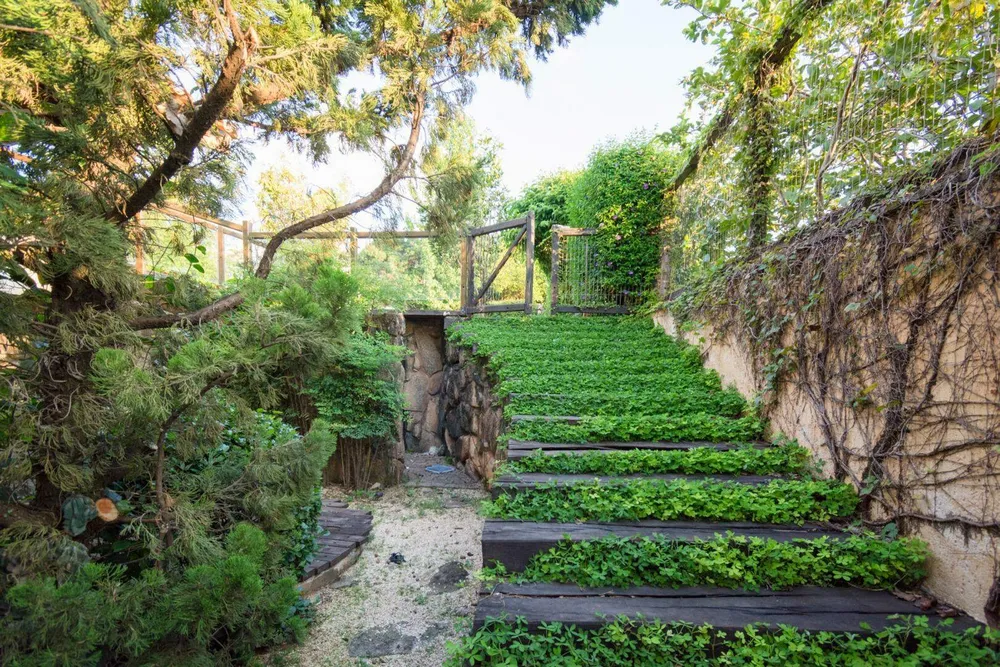 Casa de Condomínio, 6 quartos - Foto 4
