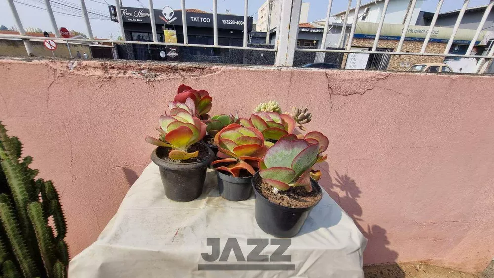 Casa, 3 quartos, 226 m² - Foto 2