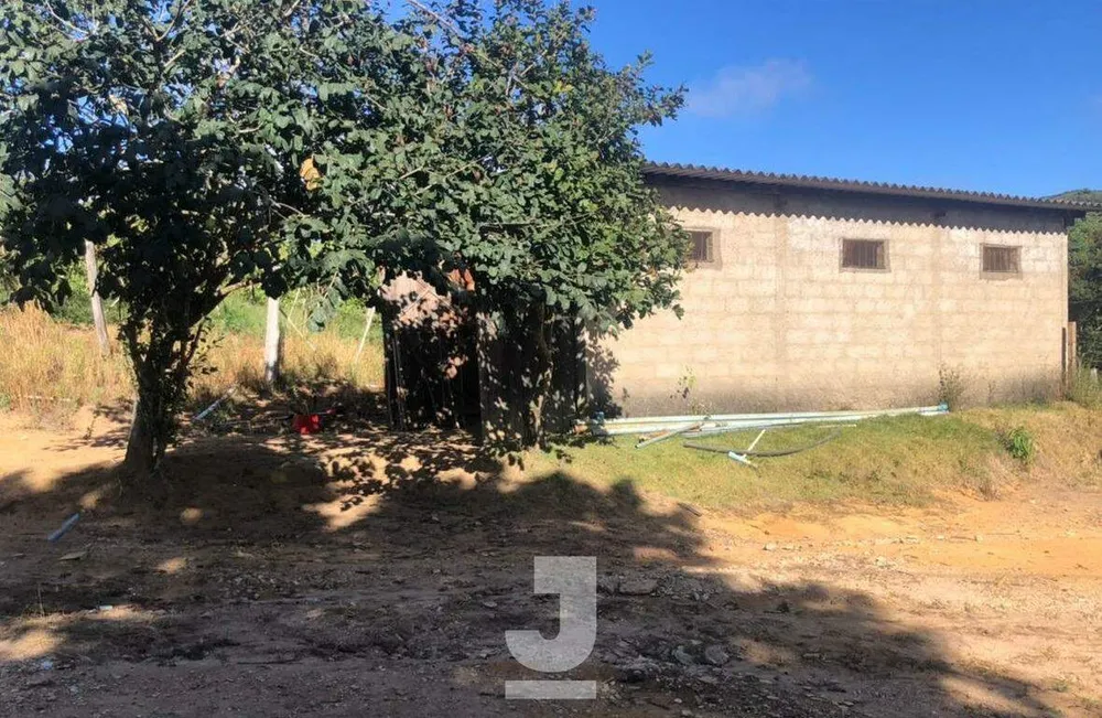 Sítio, 3 quartos, 170 m² - Foto 3