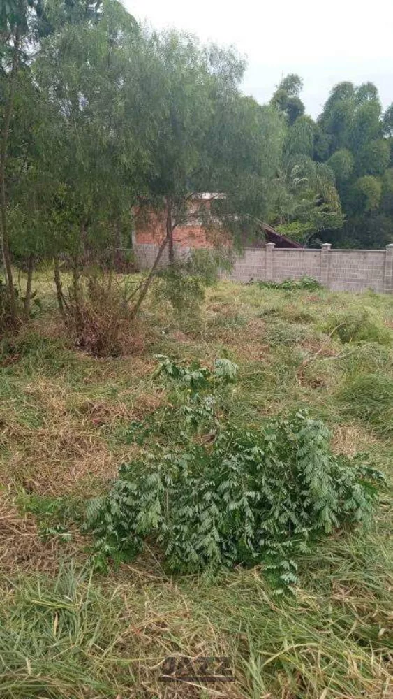 Terreno, 1500 m² - Foto 4