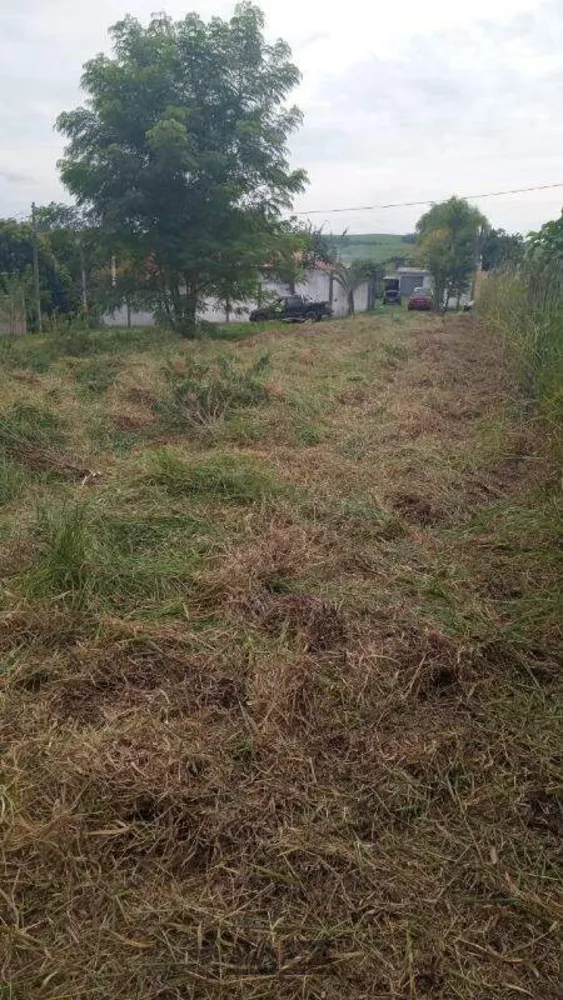 Terreno, 1500 m² - Foto 6