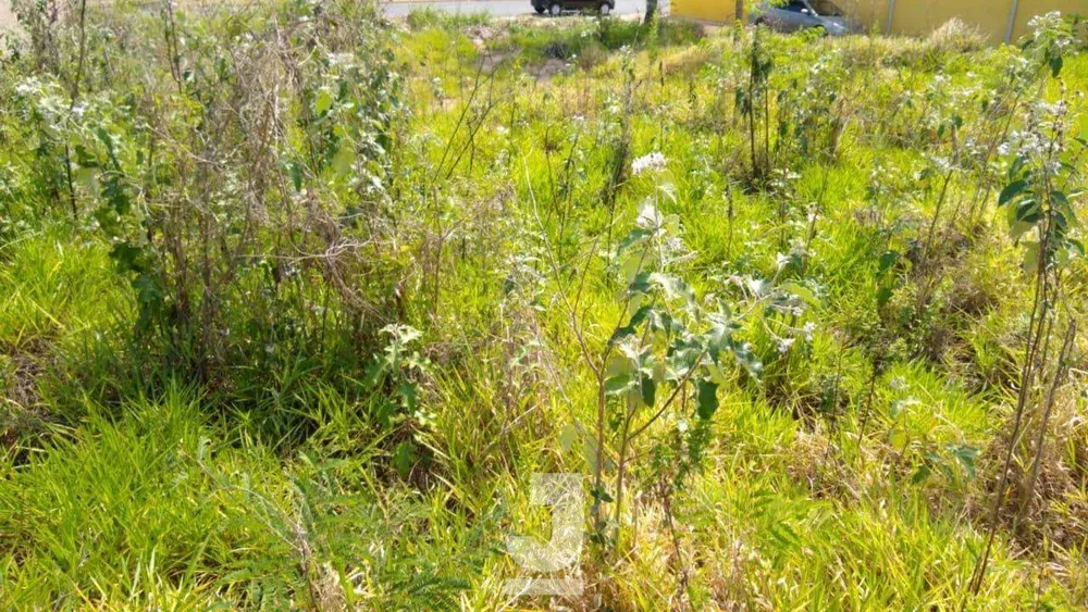 Terreno, 450 m² - Foto 3