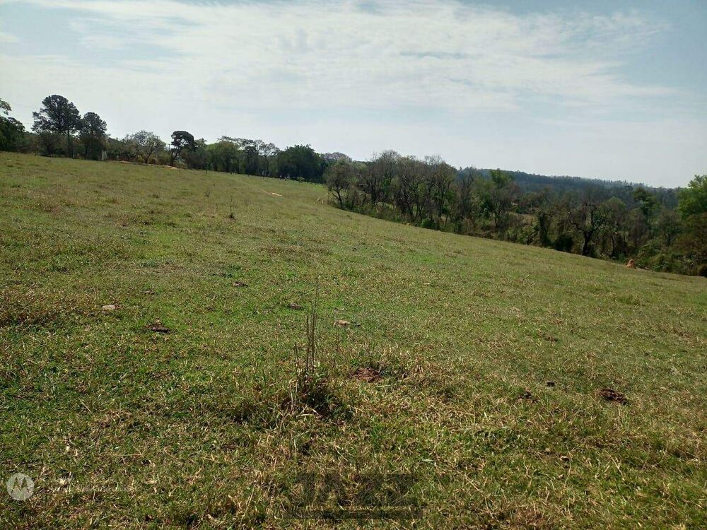 Prédio Inteiro - Foto 11