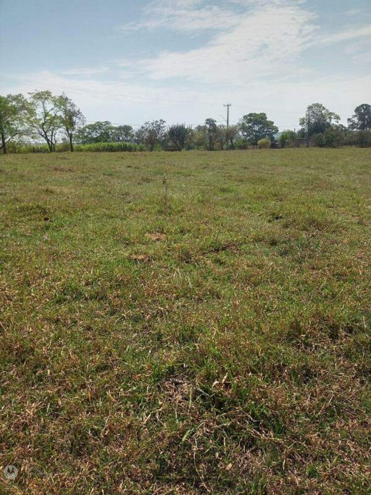 Prédio Inteiro - Foto 15