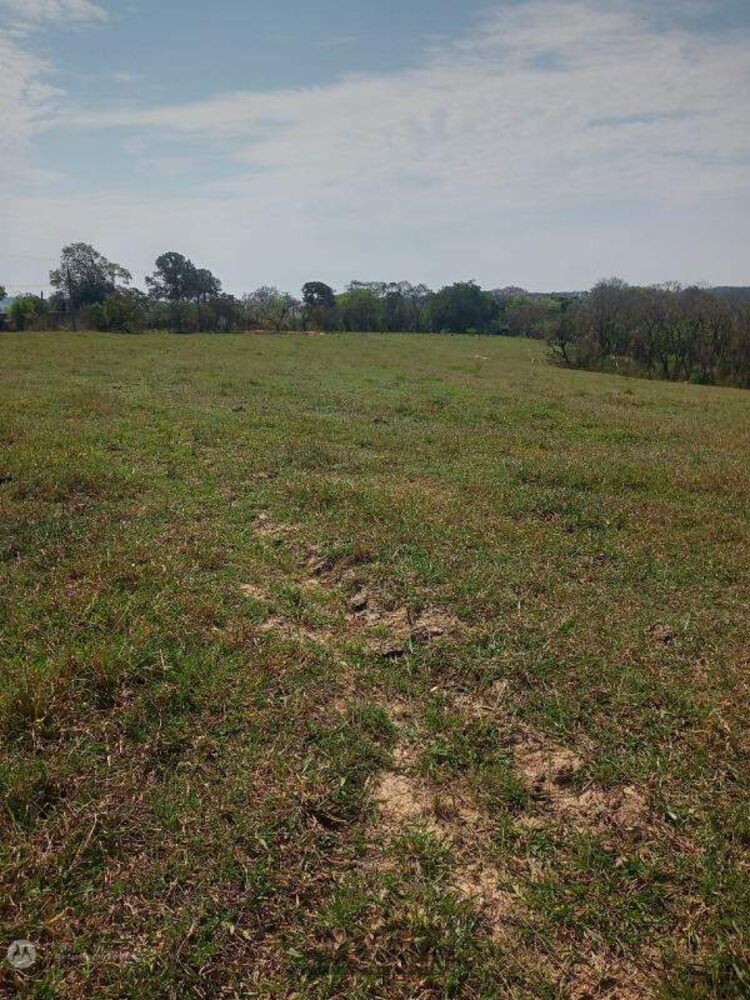 Prédio Inteiro - Foto 2