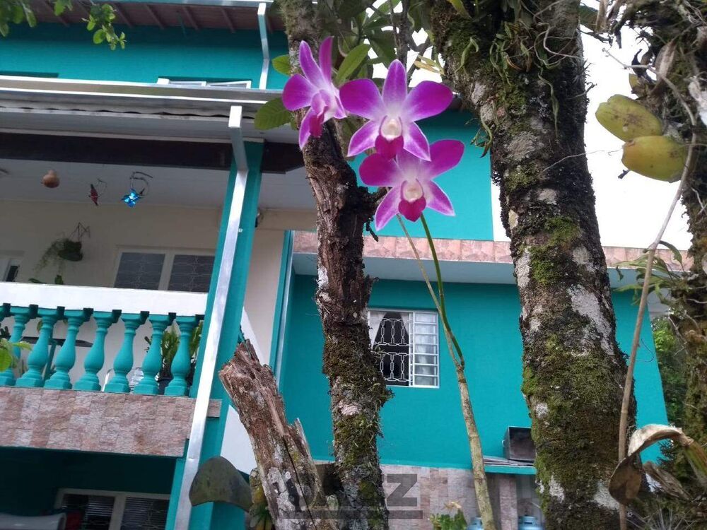 Casa, 3 quartos, 392 m² - Foto 2