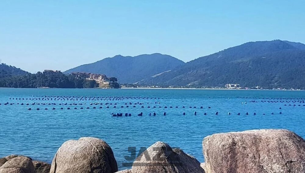 Terreno, 402 m² - Foto 18