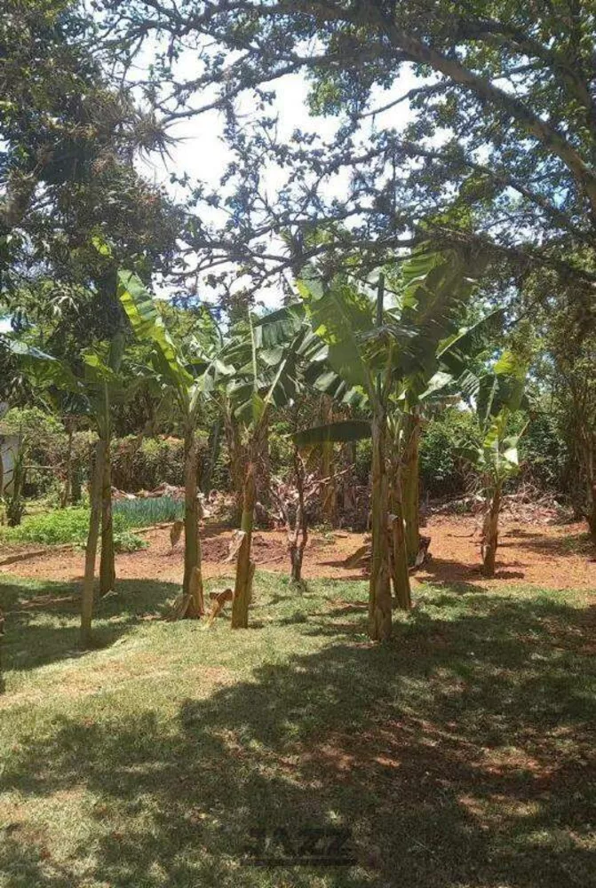 Chácara, 4 quartos - Foto 5
