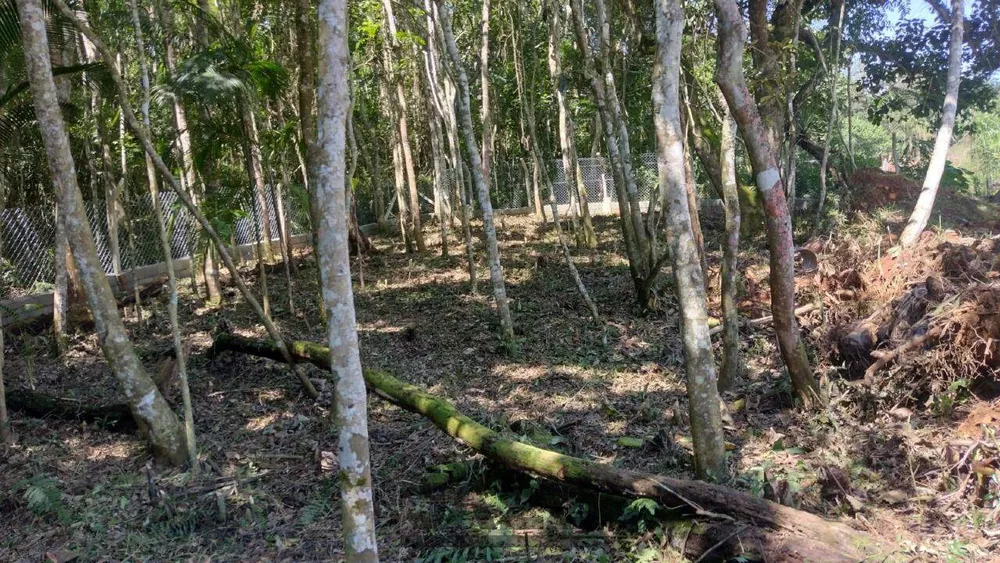 Chácara, 3 quartos - Foto 1