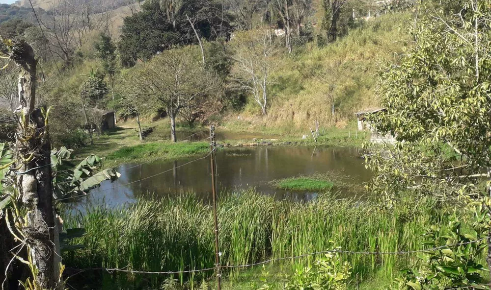 Chácara, 3 quartos - Foto 17