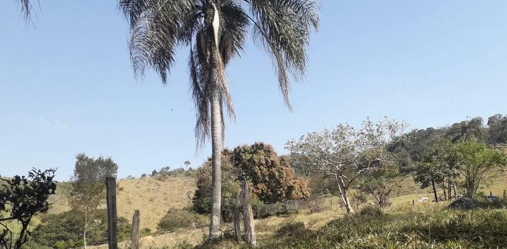 Chácara, 3 quartos - Foto 13