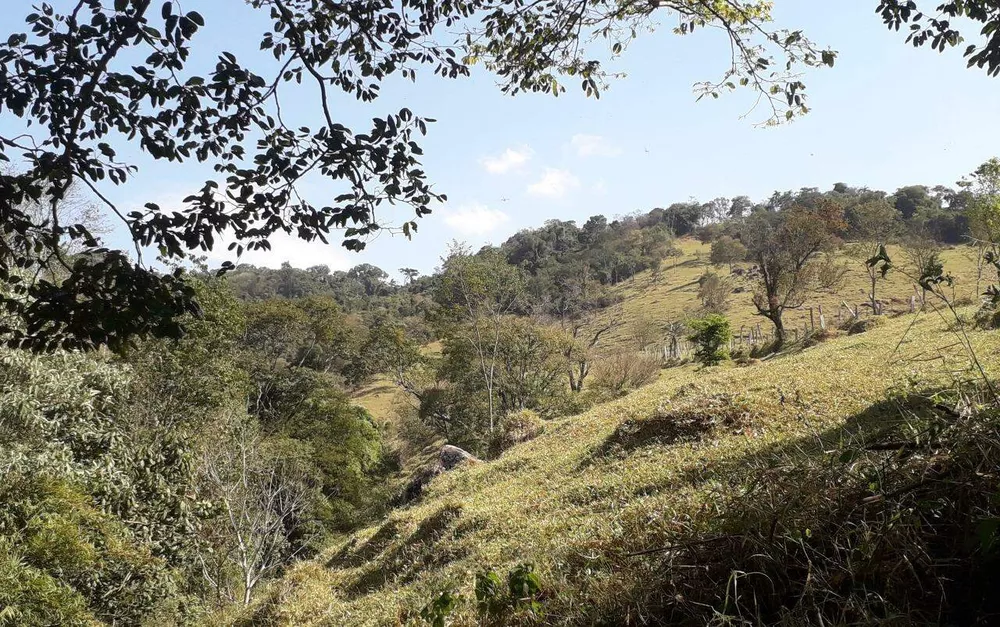 Chácara, 3 quartos - Foto 5