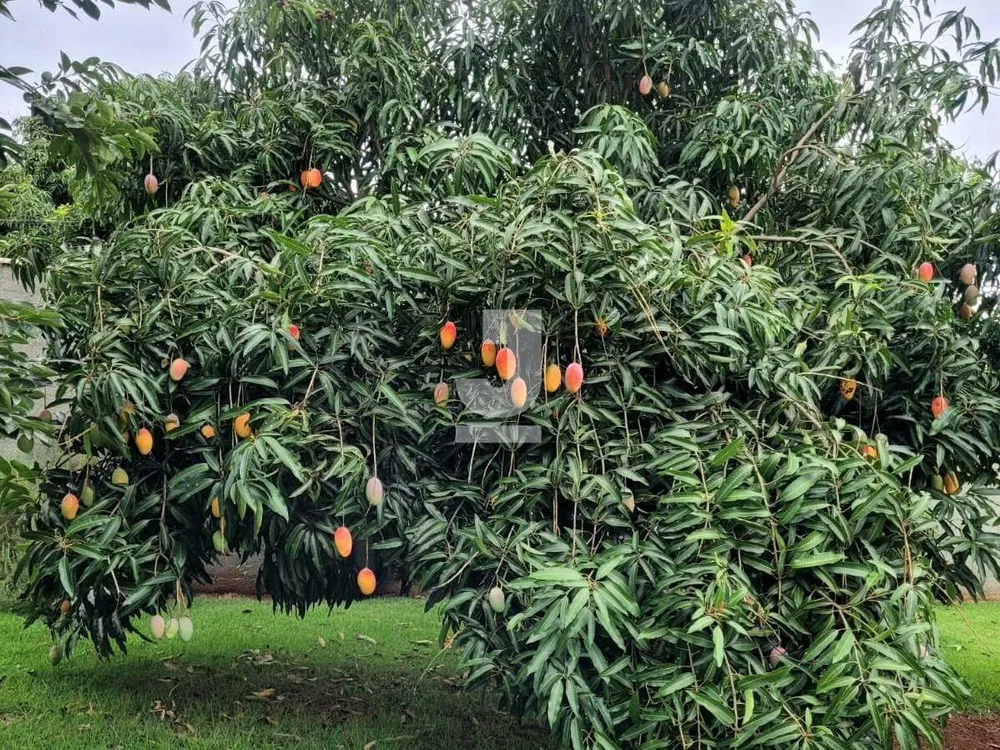 Chácara, 3 quartos - Foto 4