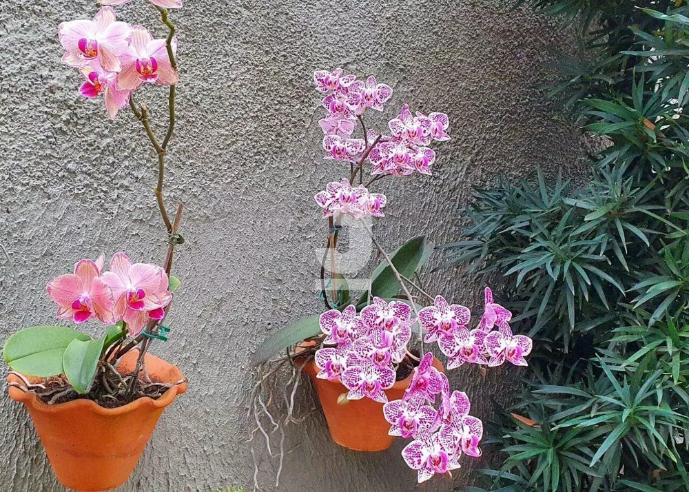 Chácara, 3 quartos - Foto 17