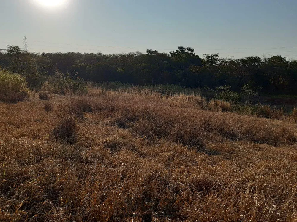 Terreno, 2500 m² - Foto 1