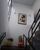 Casa, 5 quartos, 400 m² - Foto 4
