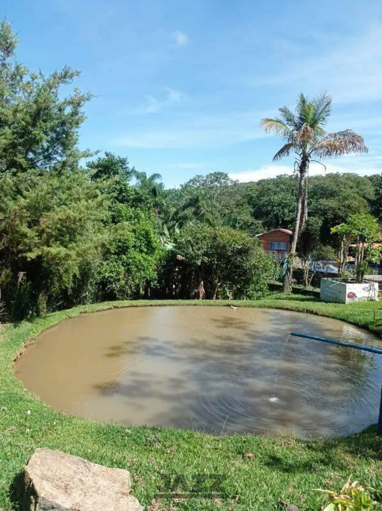 Sítio, 3 quartos, 250 m² - Foto 3