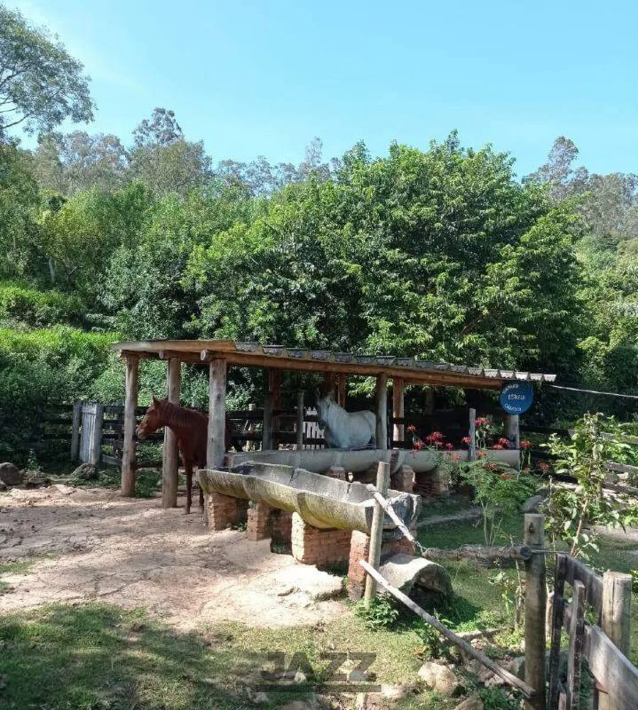 Sítio, 3 quartos, 250 m² - Foto 2