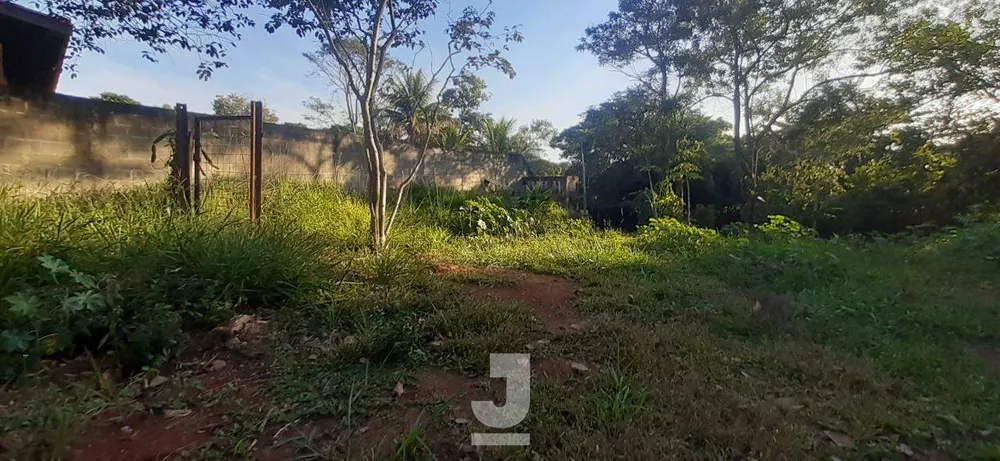 Terreno, 2250 m² - Foto 3