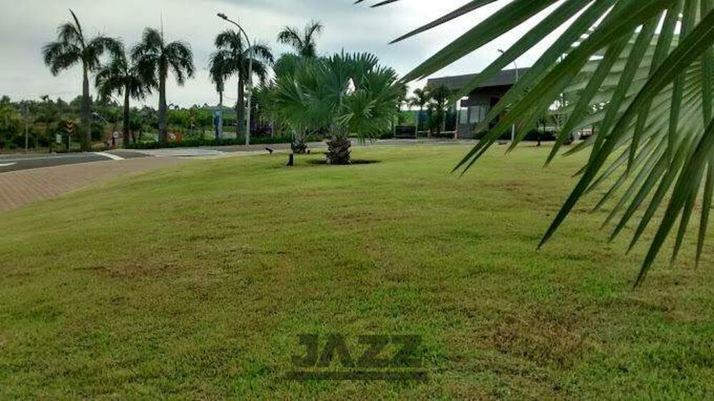 Terreno à venda - Foto 4