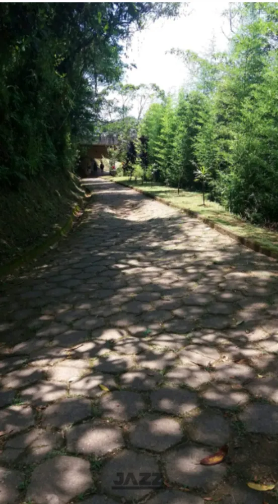 Terreno, 381 m² - Foto 3