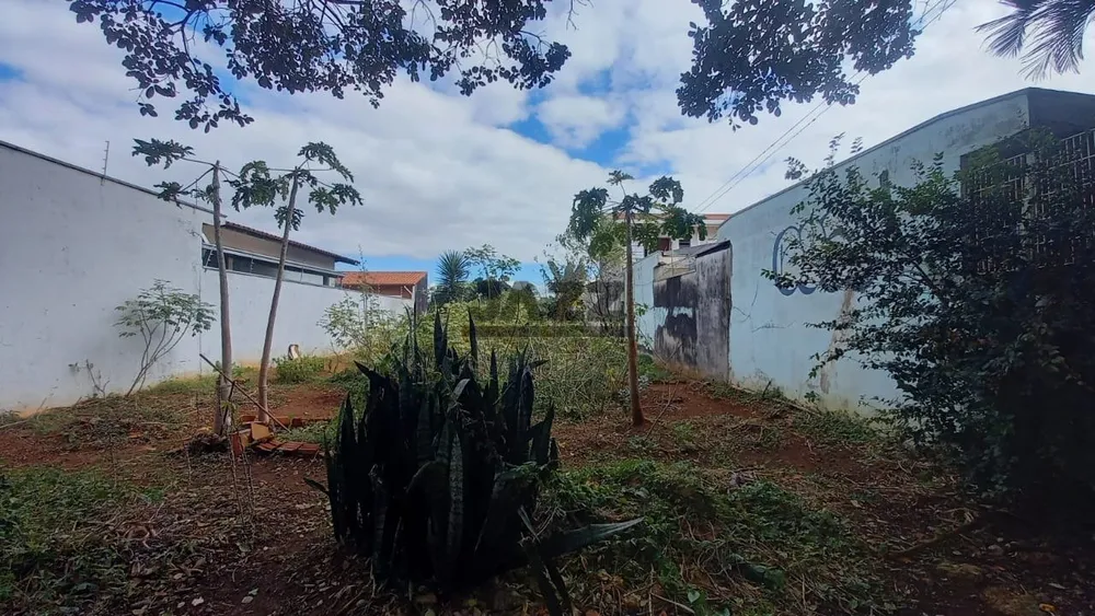 Terreno, 333 m² - Foto 3