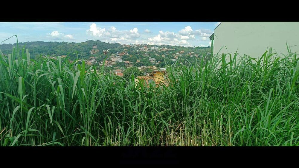 Terreno, 462 m² - Foto 11