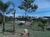 Terreno, 1032 m² - Foto 16