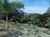 Terreno, 1032 m² - Foto 5