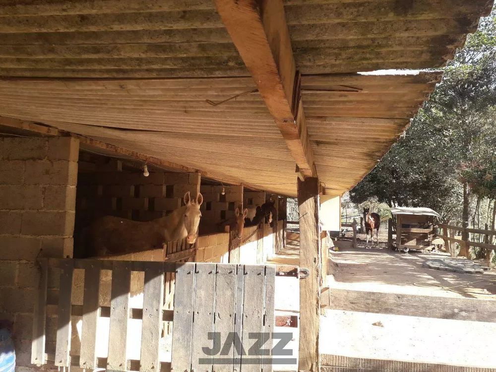 Sítio, 4 quartos, 200 m² - Foto 5