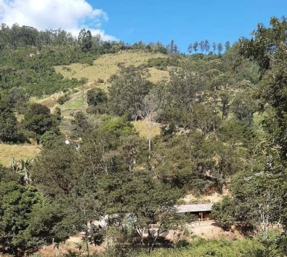 Sítio, 4 quartos, 200 m² - Foto 8