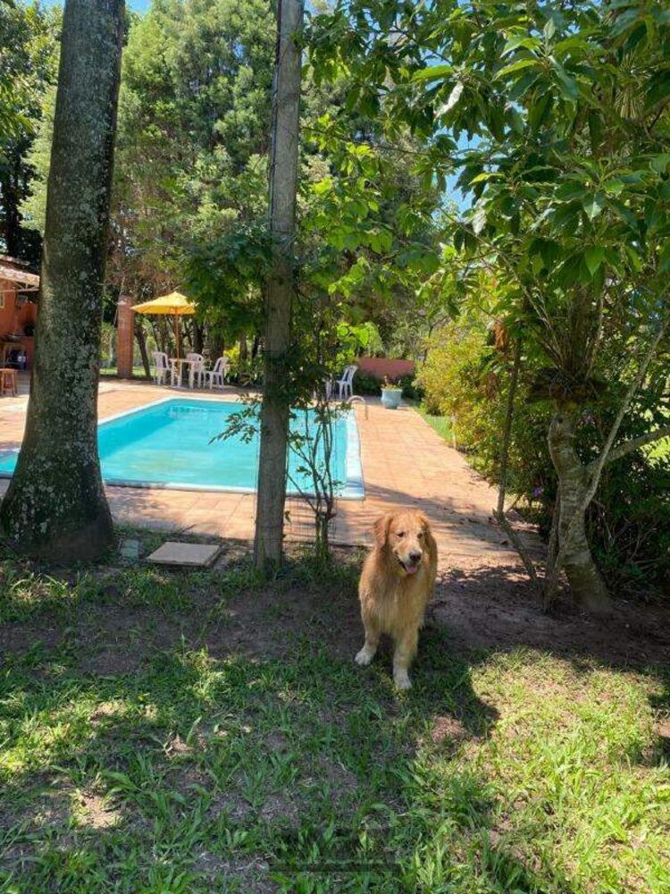 Chácara, 3 quartos - Foto 11
