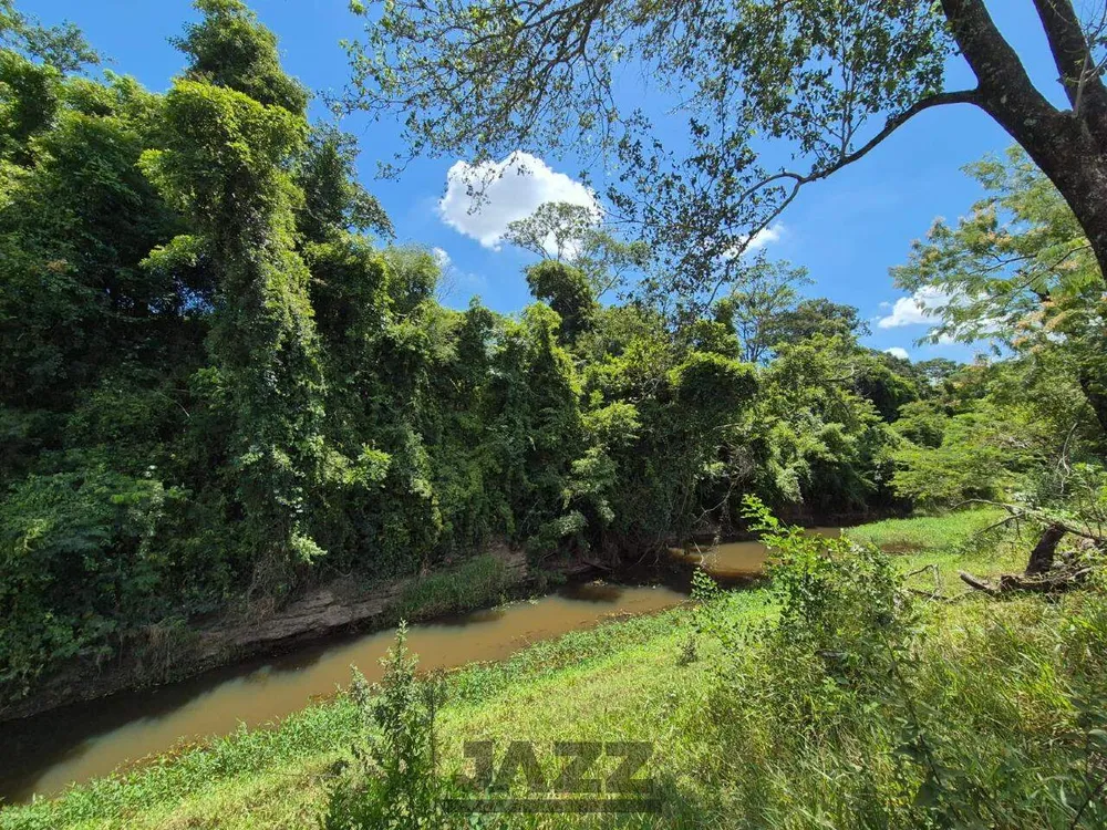 Sítio, 7 hectares - Foto 4