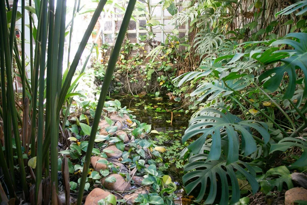 Casa de Condomínio, 6 quartos - Foto 3