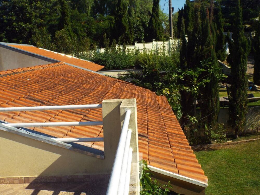 Chácara, 3 quartos - Foto 3