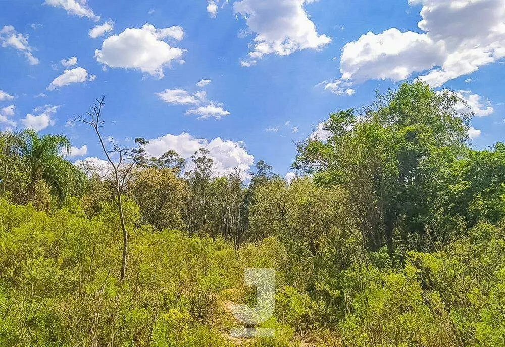 Chácara, 2 hectares - Foto 1
