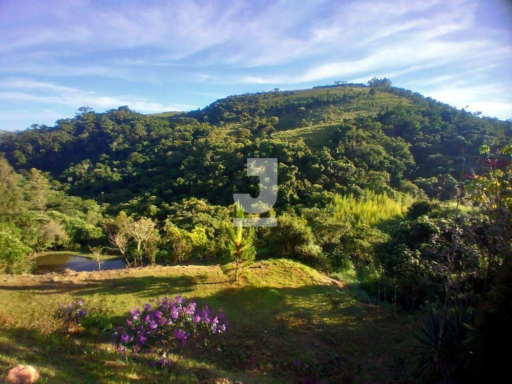 Chácara à venda com 19 quartos, 925m² - Foto 3