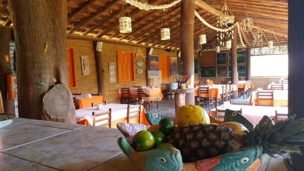 Chácara à venda com 19 quartos, 925m² - Foto 4